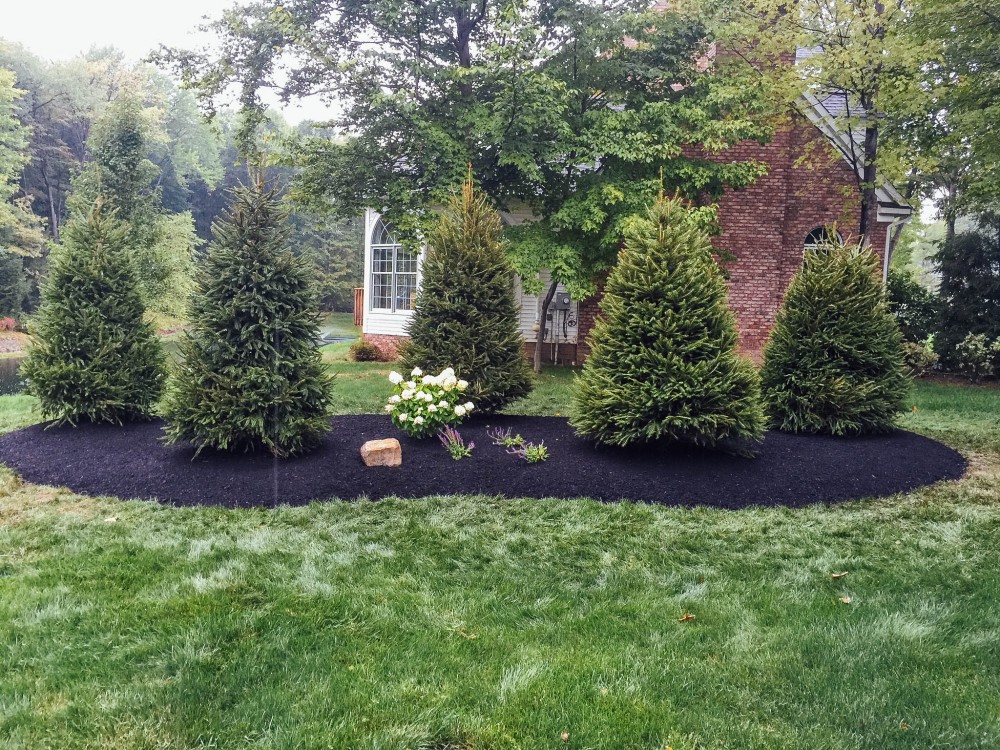 Freshly mulched bed in yard with trees and flowers
